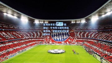 星海体育官方app下载地址：字母哥小腿伤势反复发作，老里坦言全队备受困扰