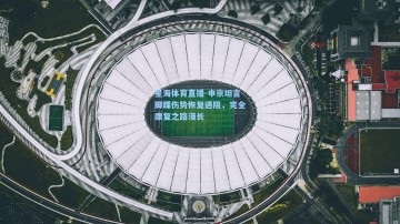 星海体育直播-申京坦言脚踝伤势恢复遇阻，完全康复之路漫长